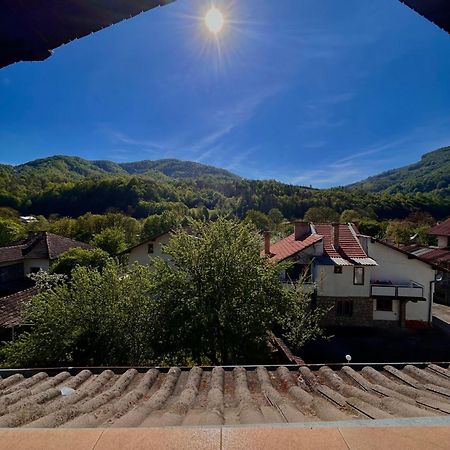 Luylyana Guesthouse Ribaritsa Dış mekan fotoğraf