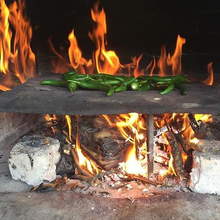 Luylyana Guesthouse Ribaritsa Dış mekan fotoğraf