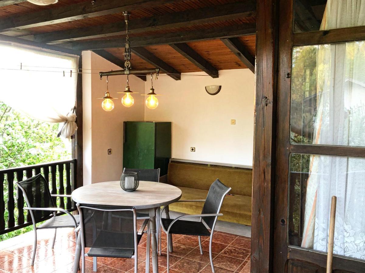 Luylyana Guesthouse Ribaritsa Dış mekan fotoğraf