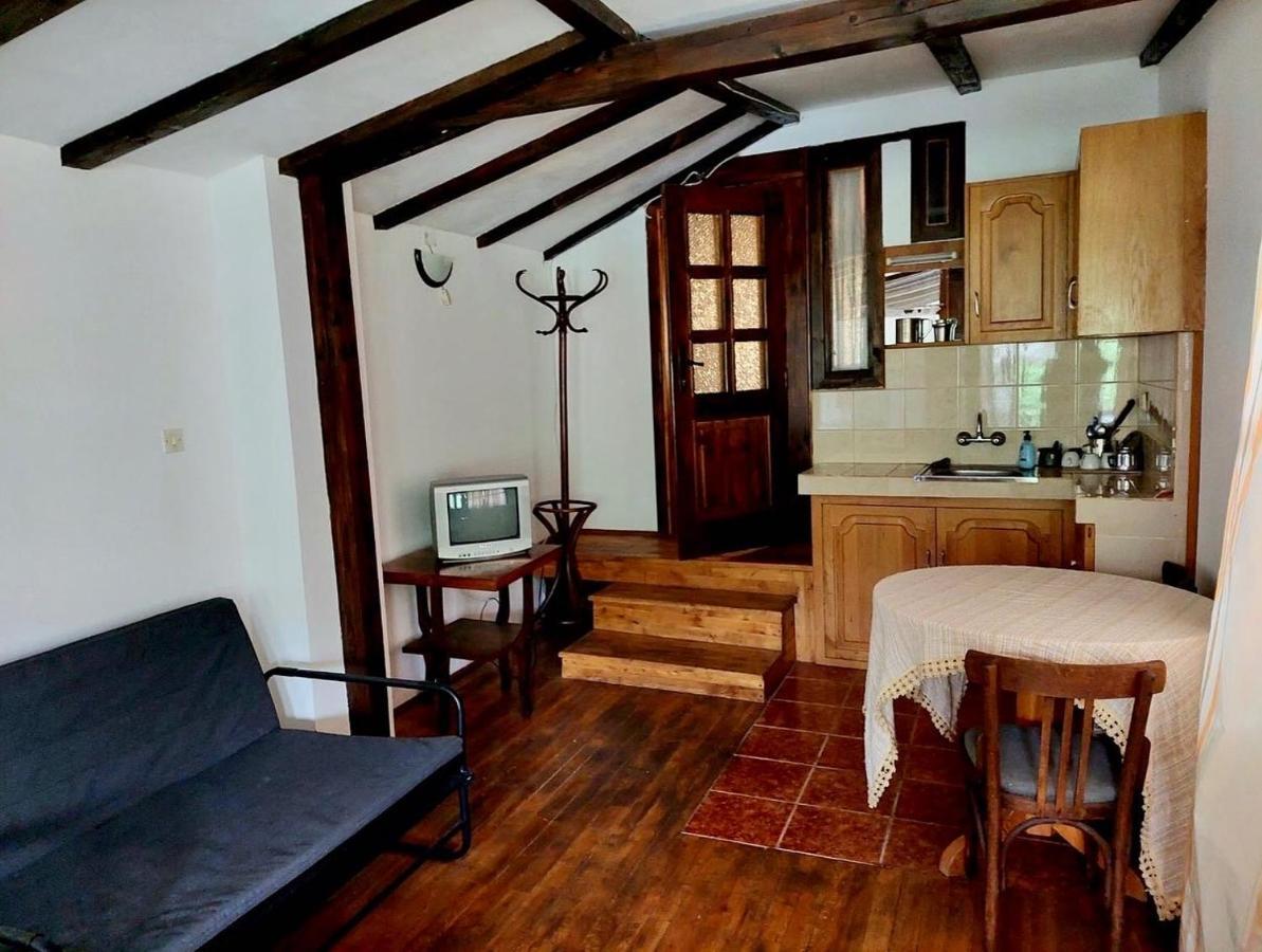 Luylyana Guesthouse Ribaritsa Dış mekan fotoğraf
