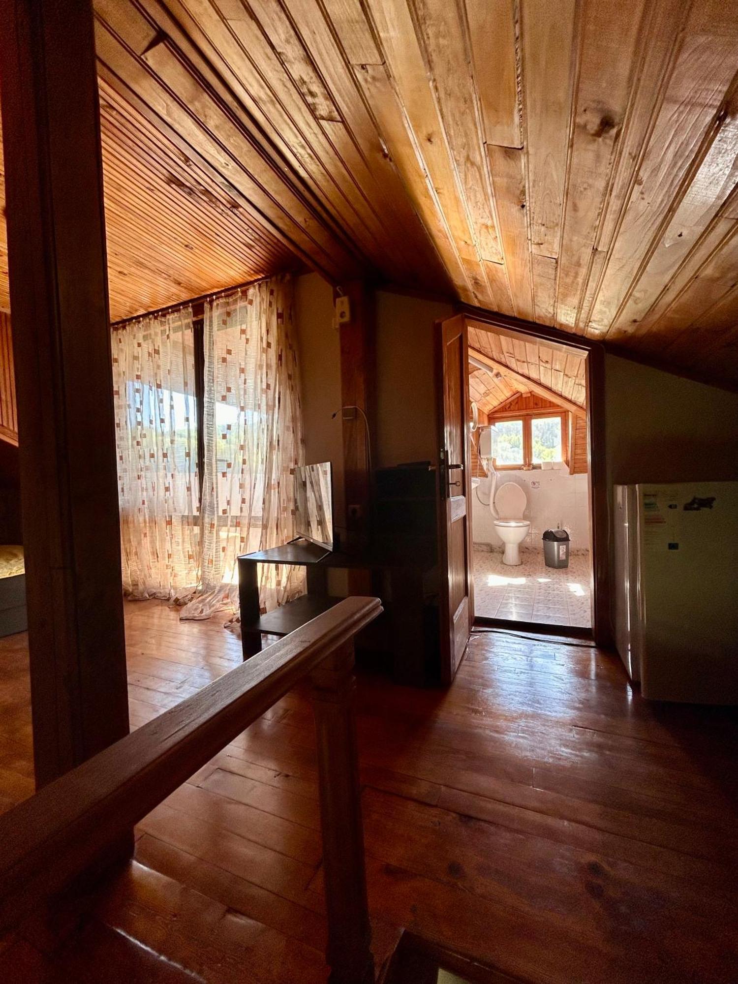 Luylyana Guesthouse Ribaritsa Dış mekan fotoğraf