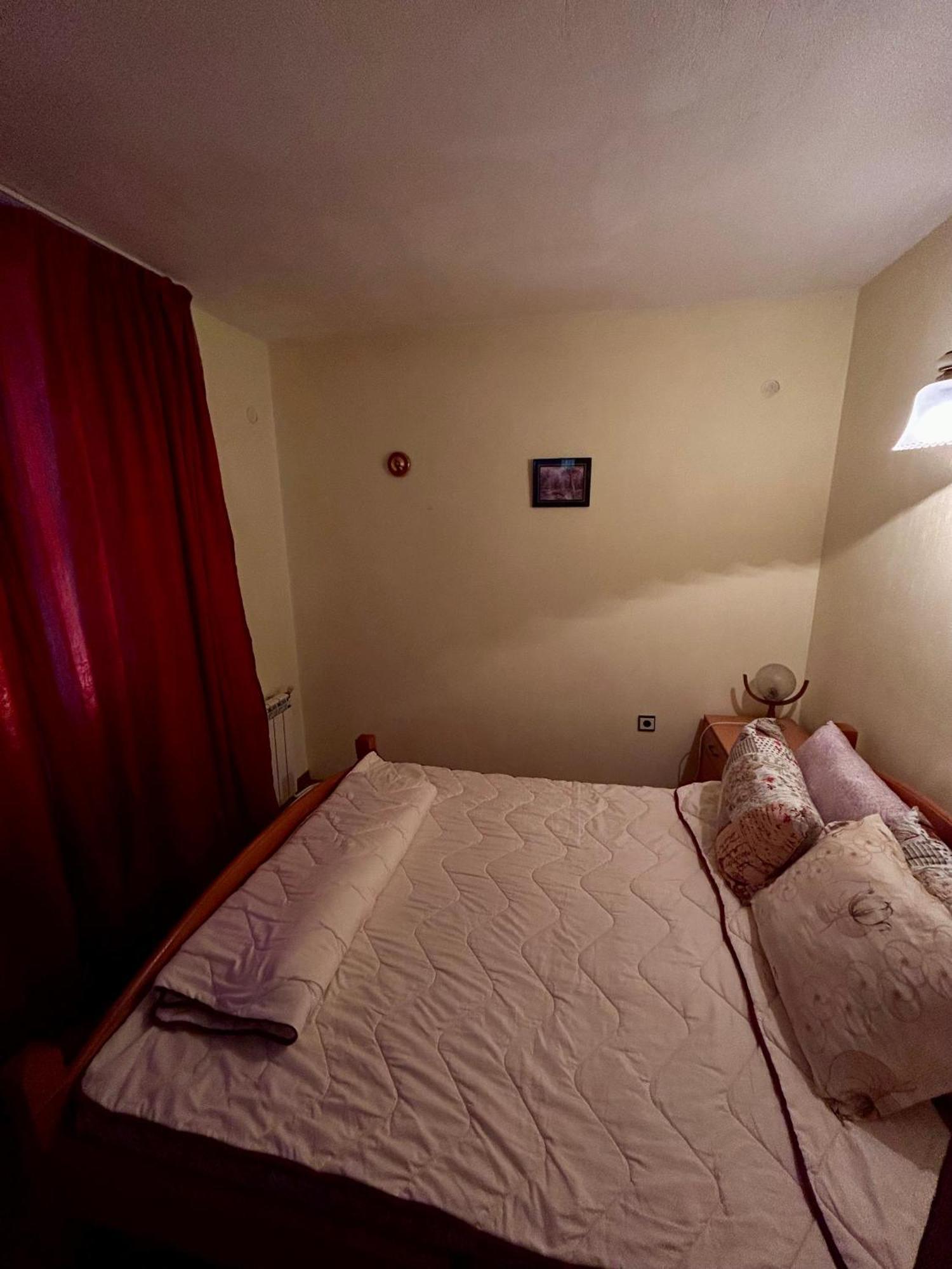 Luylyana Guesthouse Ribaritsa Dış mekan fotoğraf