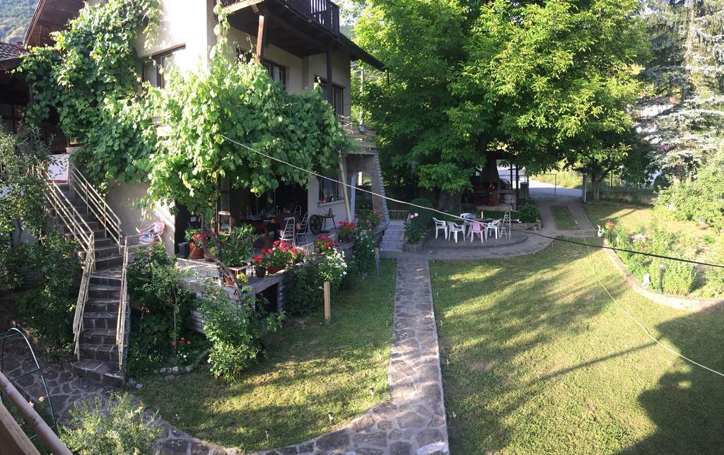 Luylyana Guesthouse Ribaritsa Dış mekan fotoğraf