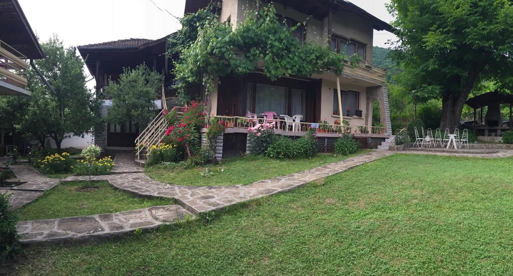 Luylyana Guesthouse Ribaritsa Dış mekan fotoğraf