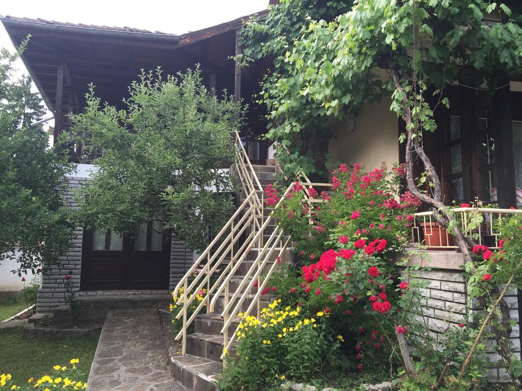 Luylyana Guesthouse Ribaritsa Dış mekan fotoğraf