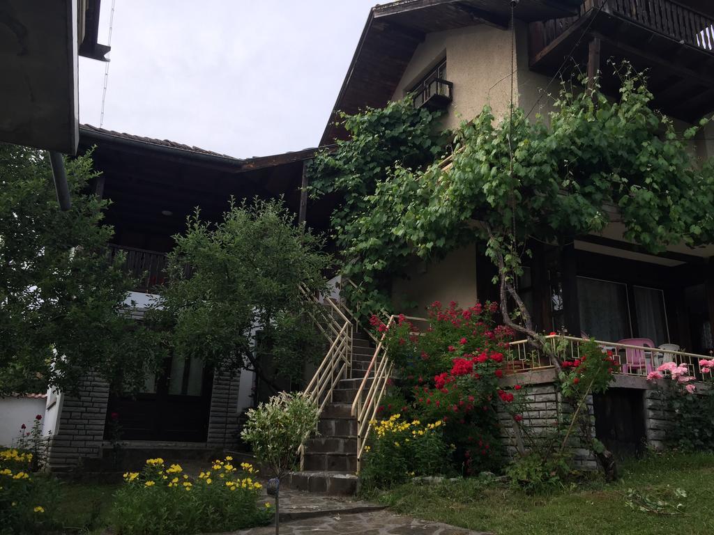 Luylyana Guesthouse Ribaritsa Dış mekan fotoğraf