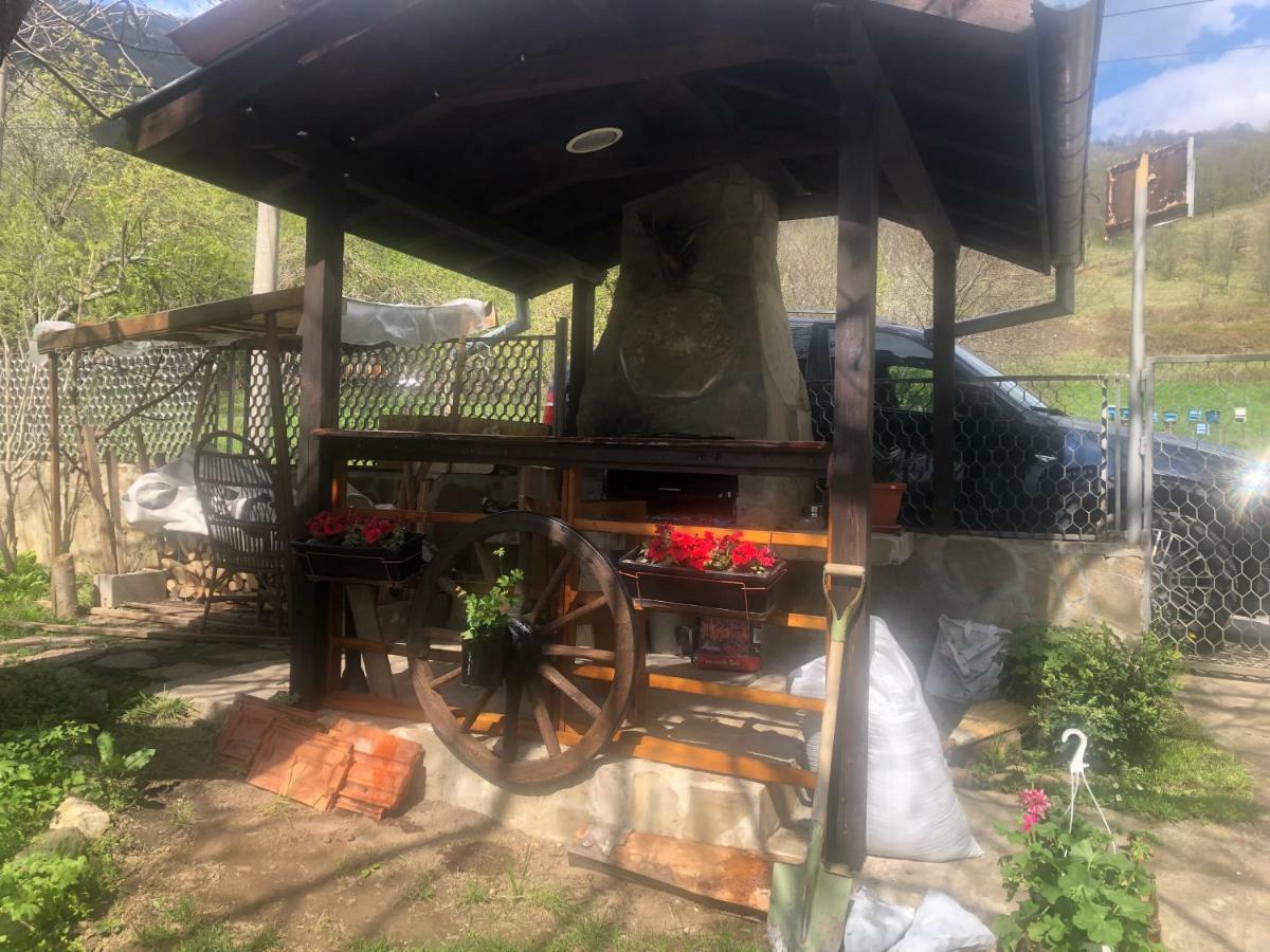 Luylyana Guesthouse Ribaritsa Dış mekan fotoğraf