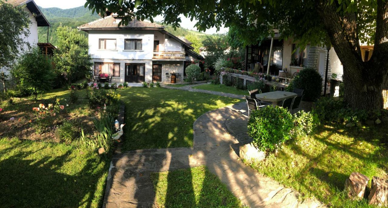 Luylyana Guesthouse Ribaritsa Dış mekan fotoğraf