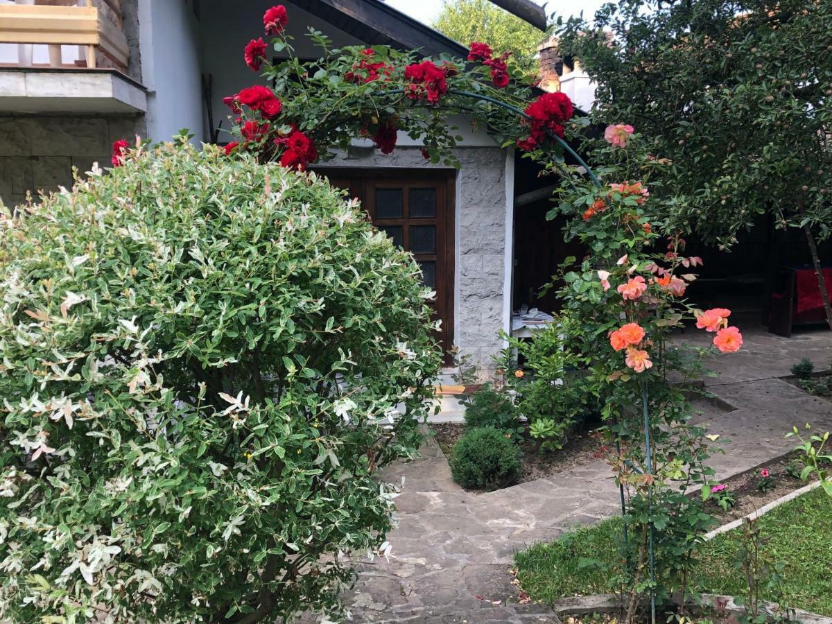 Luylyana Guesthouse Ribaritsa Dış mekan fotoğraf