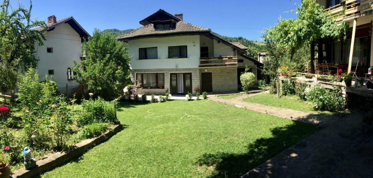 Luylyana Guesthouse Ribaritsa Dış mekan fotoğraf